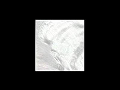 パール貝【白蝶貝】インレイ板材 30X30X1.5mm通販 | ギターワークス